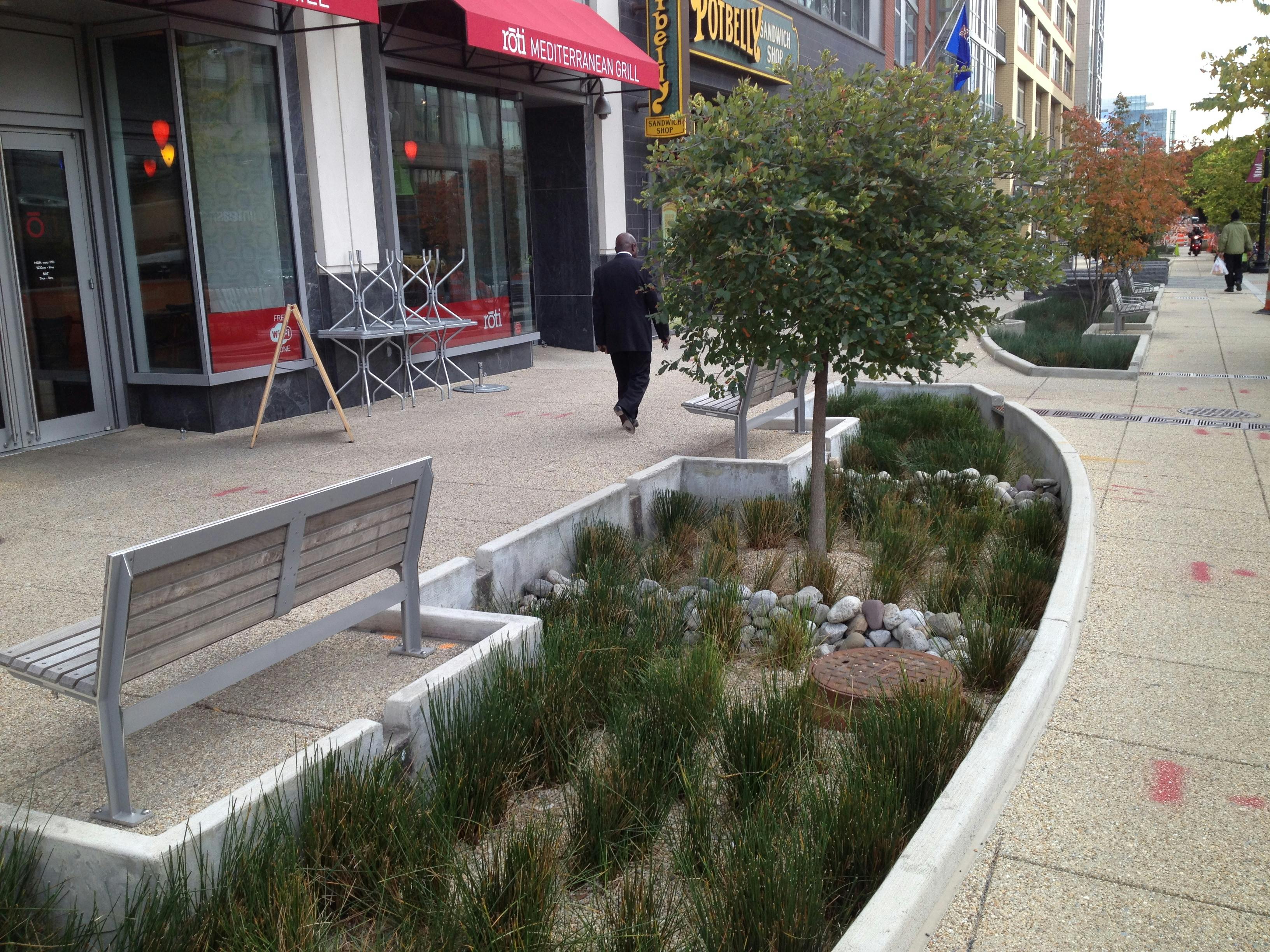 Bioretention garden on a sidewalk